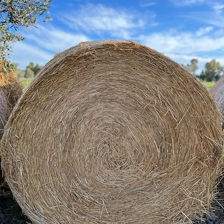 Bauernhof Il Gelsomino Bio Alberese