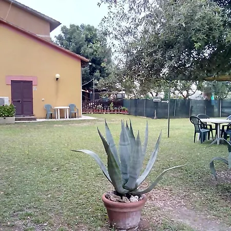 Il Gelsomino Bio Farmház Alberese